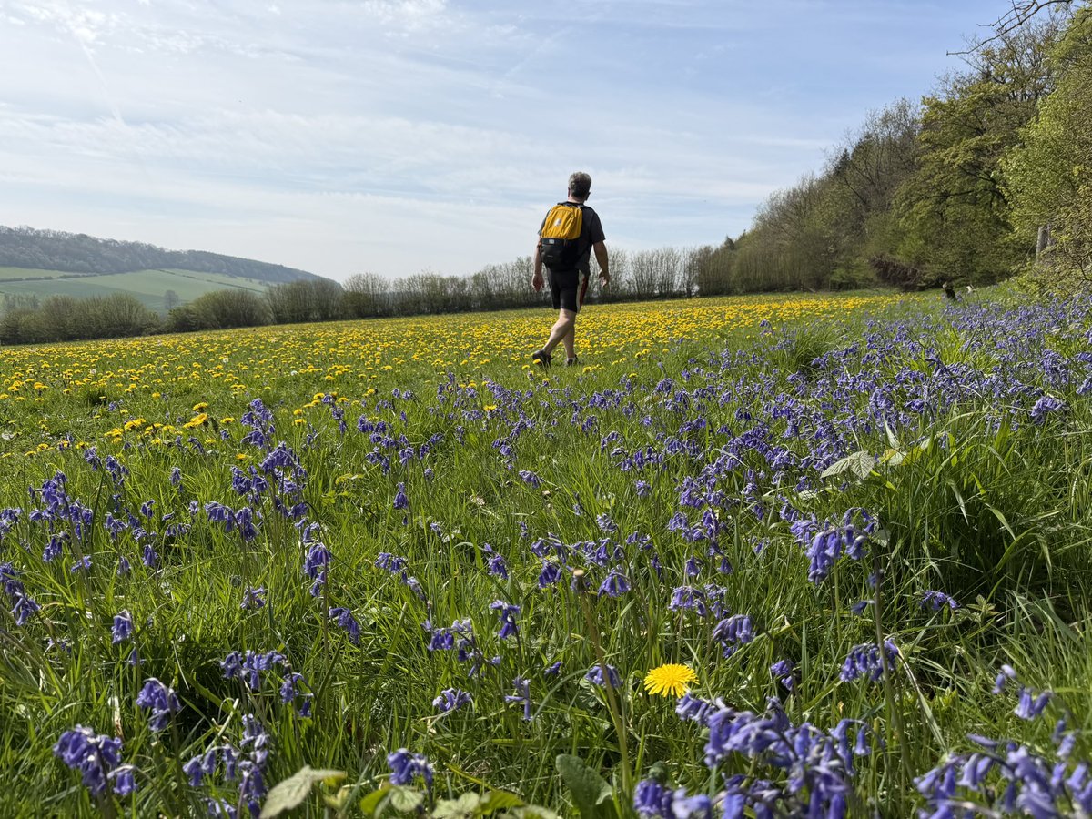 ManelRoura's tweet image. My walk today…over 13 miles along Wenlock Edge from Much Wenlock to Hope Bowdler in 5 hours. Great company and beautiful weather. #Shropshire