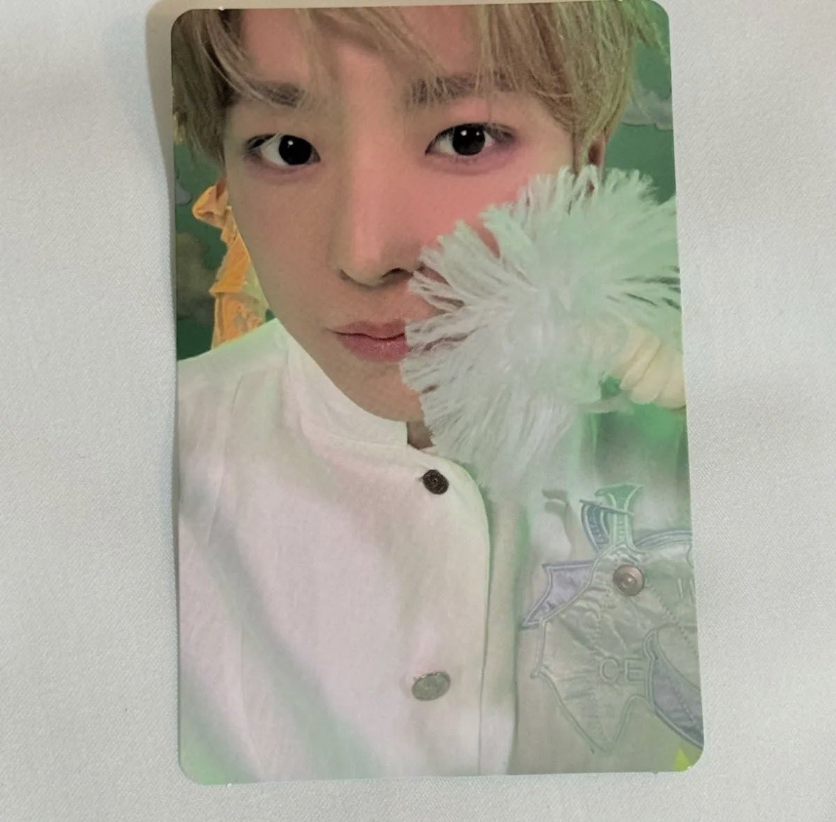 🎀🪄 tweet media