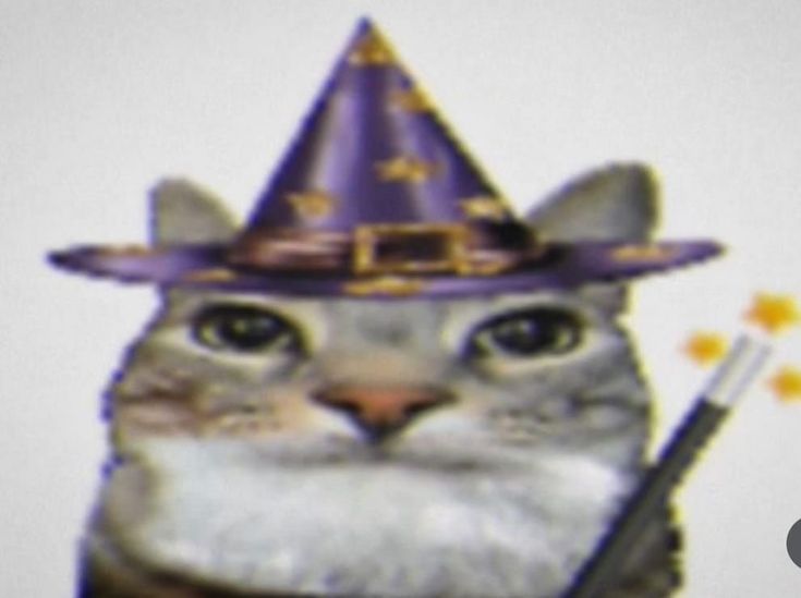 𝔡𝔞𝔫𝔡𝔞𝔯𝔞 🔮cartomante & hoodoo ⋆˚꩜｡ tweet media