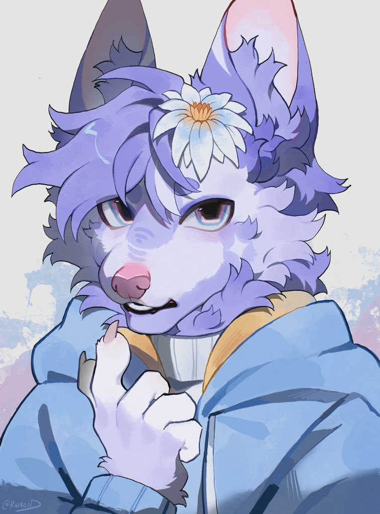✦ 𝗩𝗘𝗡𝗡 tweet media
