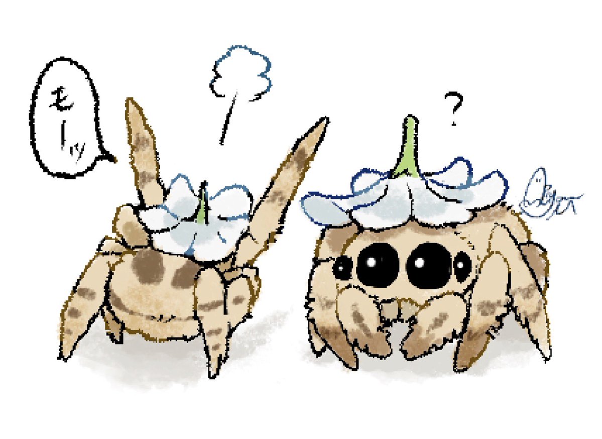 合鴨ミケランジェロ@単行本「ふたりのけもの２」🐺🦌 tweet media