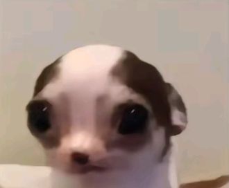 mavis 🪭 VAI VER O BTS tweet media