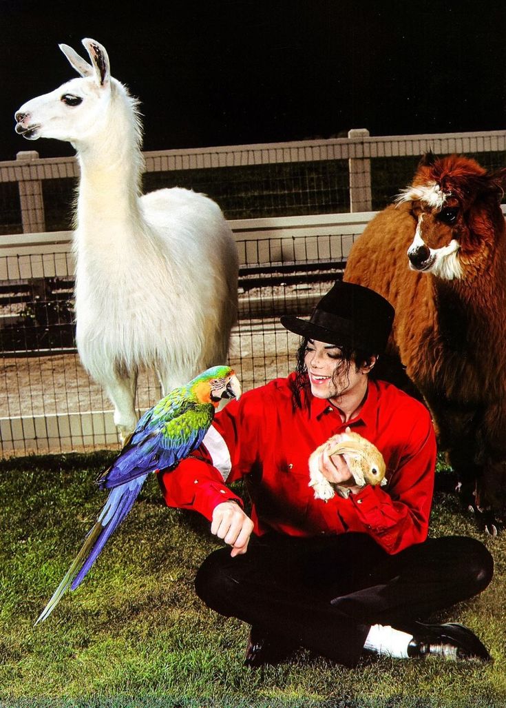 billy. 🤍🕷️ tweet media