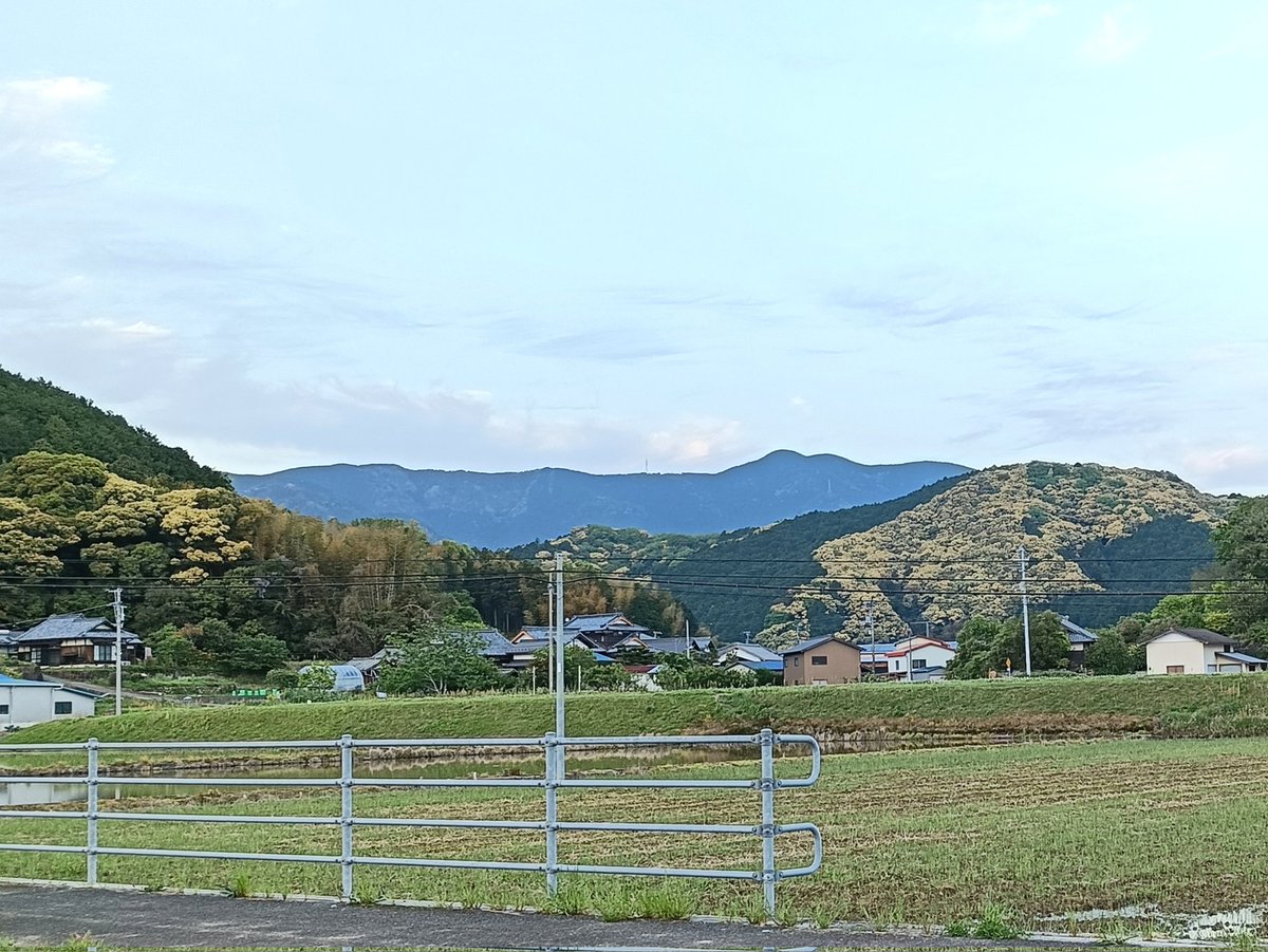 れおのむしのおと tweet media