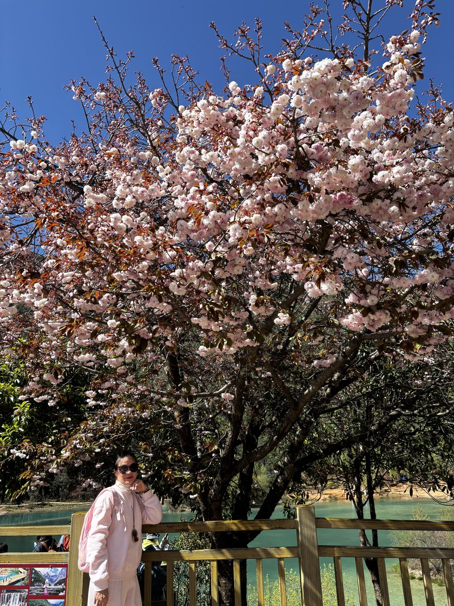 Trần Bích Ngọc | Jade tweet media