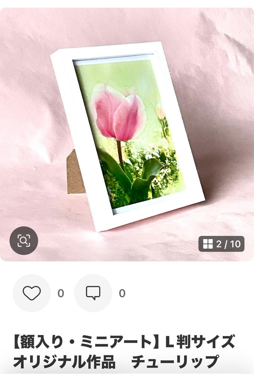 チューリップのフォトフレーム販売中！ 昔、うちのベランダに咲いてい