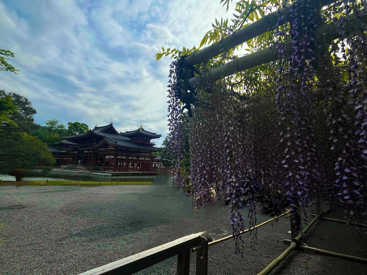 兎希-とき- tweet media