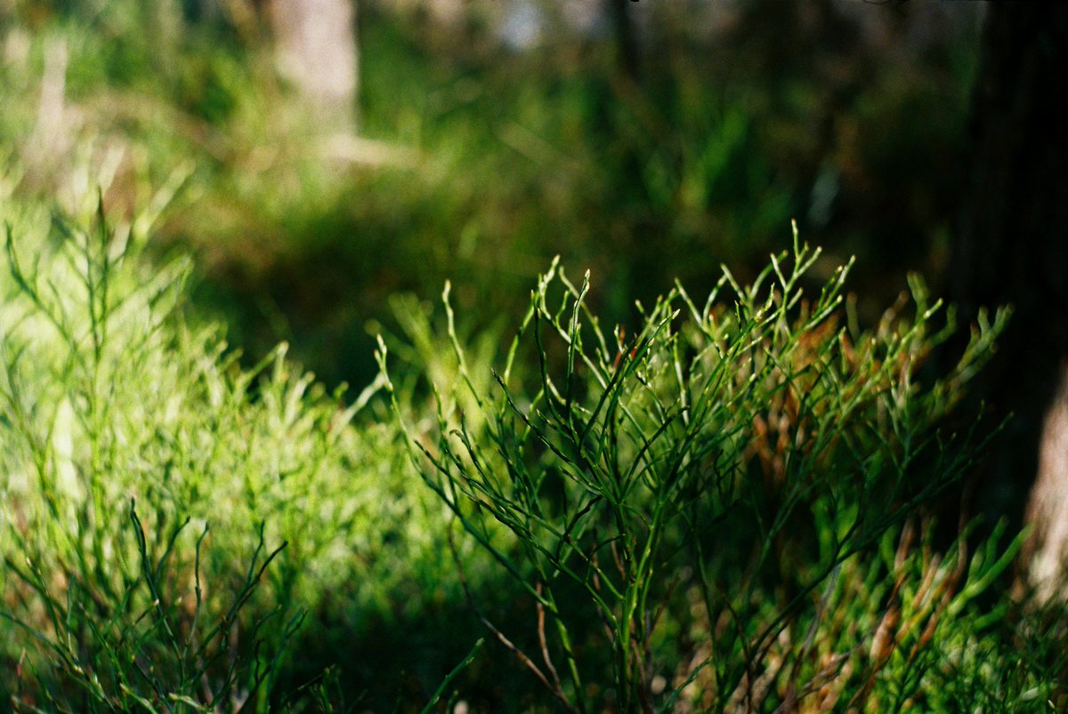 полночь🌙 tweet media