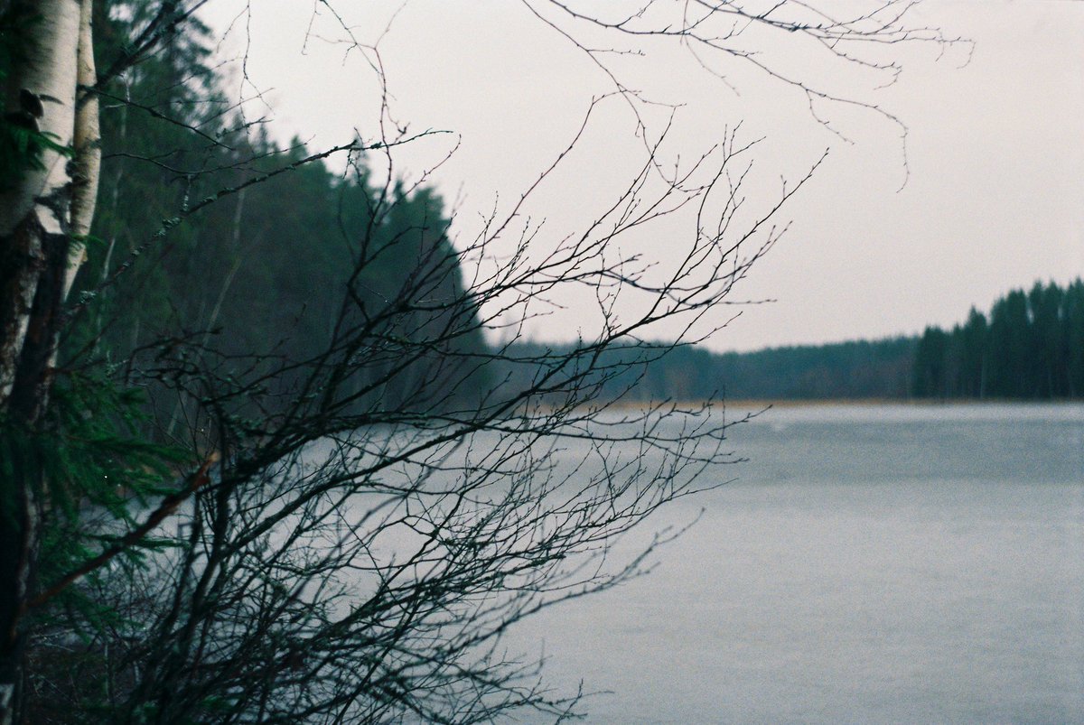 полночь🌙 tweet media