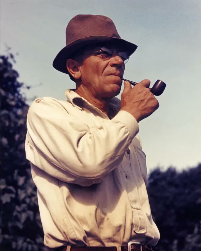 giveashitnature's tweet photo. The man credited with inventing American conservation ethics spent the first years of his career killing wolves.

Aldo Leopold became a US Forest Service ranger in 1909. His job was to eliminate large predators from the Southwest. 

He shot wolves, coyotes, mountain lions, any carnivore he could find. He was good at it and believed what the forestry establishment believed: fewer predators meant more game.

One afternoon he shot a mother wolf and watched her die. He wrote later that he saw "a fierce green fire" dying in her eyes, and he realized he had been wrong about everything.

It took him decades to work out what "wrong" meant. Without wolves, deer populations exploded. Without deer checks, forests got eaten down to nothing. Without forests, erosion swept topsoil to the sea. 

The predator he had spent his twenties killing had been holding the whole system together.

Leopold spent the rest of his life articulating what he now understood. In 1949, the year after he died fighting a brush fire on his neighbor's land, his book A Sand County Almanac introduced readers to the concept of a "land ethic." 

It became the philosophical foundation of modern conservation.

The man who helped eradicate American predators became the person who taught us why they mattered. 

He got there by being willing to say, out loud, that he had been wrong.