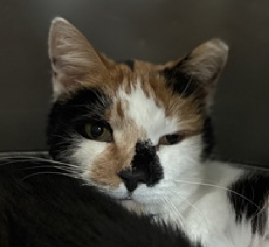 Jack5928 tweet media