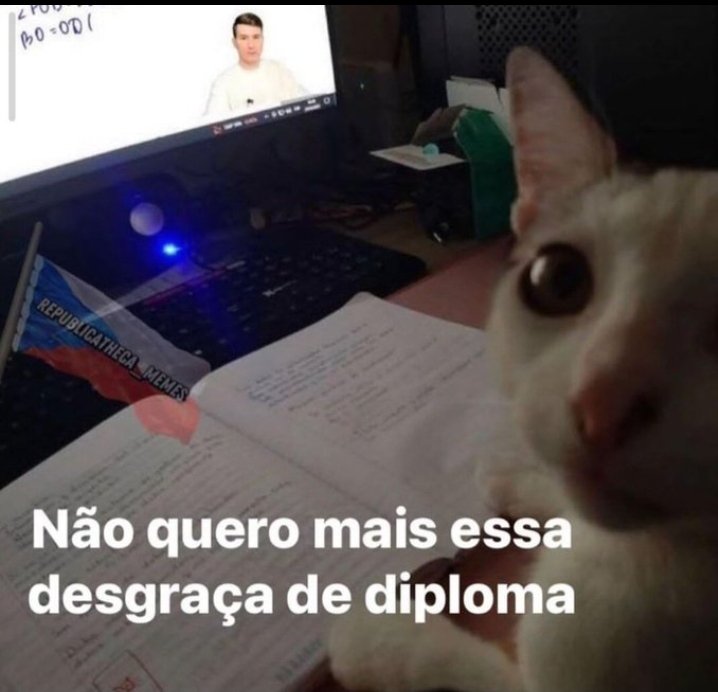 teu caos tweet media