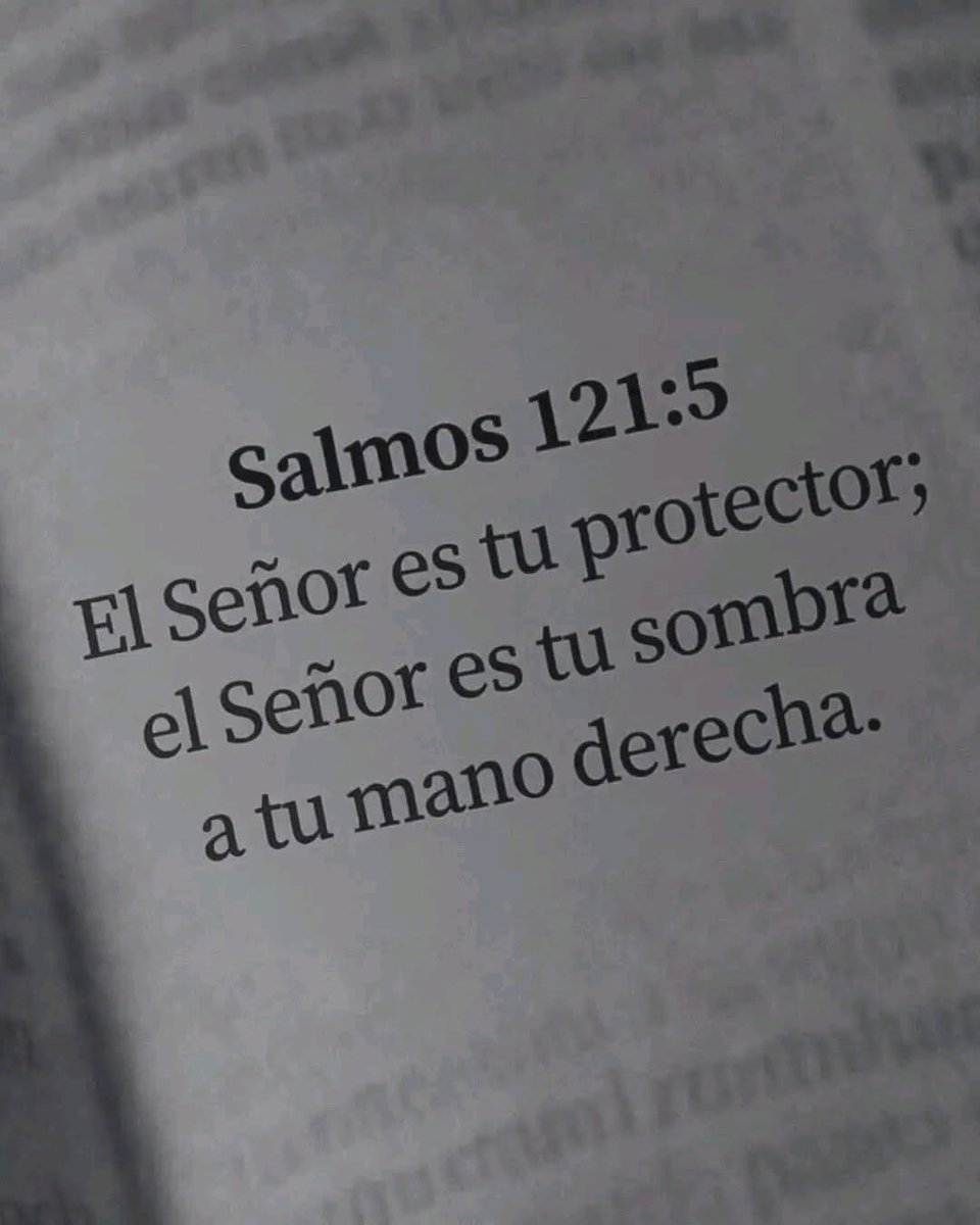 Alejandro López Jarquín tweet media