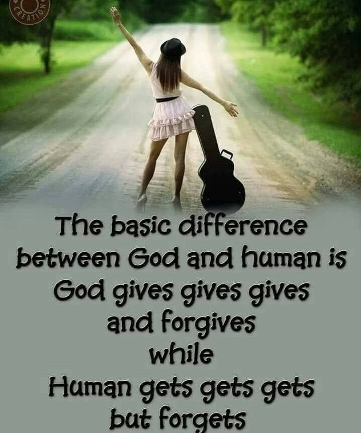 SardanaDarshna's tweet image. #EveningVibes