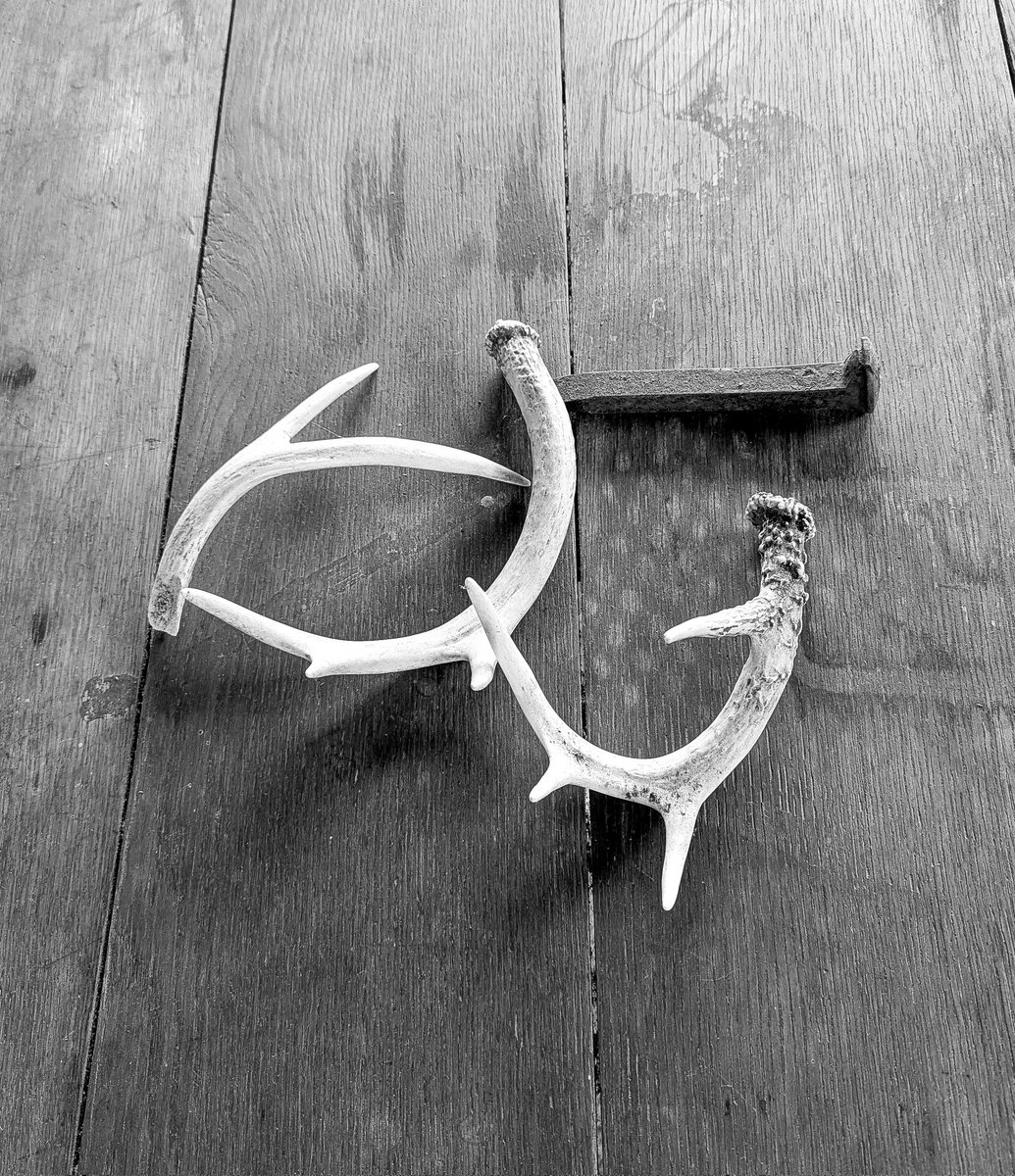 elements