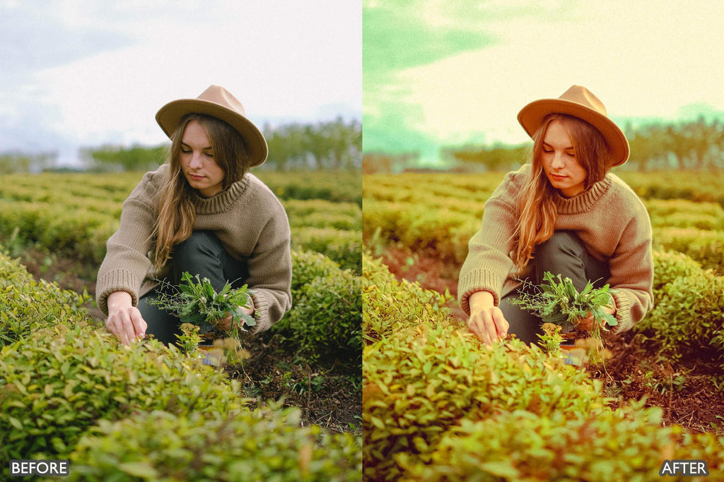 aaapresets's tweet image. Upgrade your edits with Steal Film Cinematic Look Lightroom Presets! 🎬
📢 BUY 3, GET 9 FREE! Don’t miss this deal.
🔗 shortlink.store/o0n-qxgmskcx

#LightroomPresets #PhotographyTips #CinematicLook #aaapresets @aaapresets @Lightroom