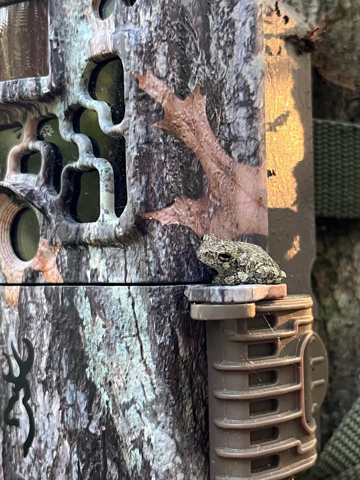 Wake County Parks tweet media
