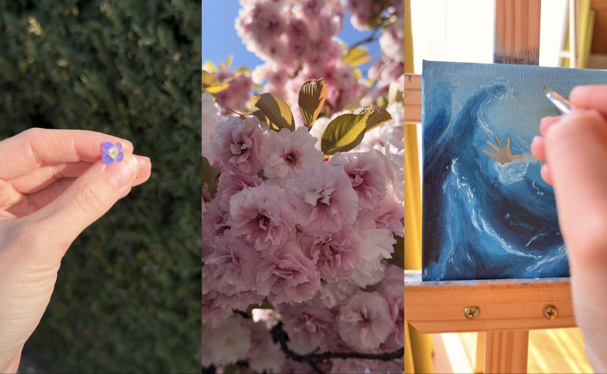 balErina tweet media