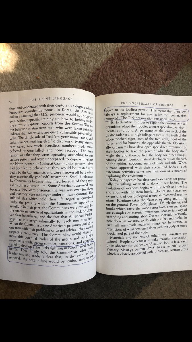 Long Zhang tweet media