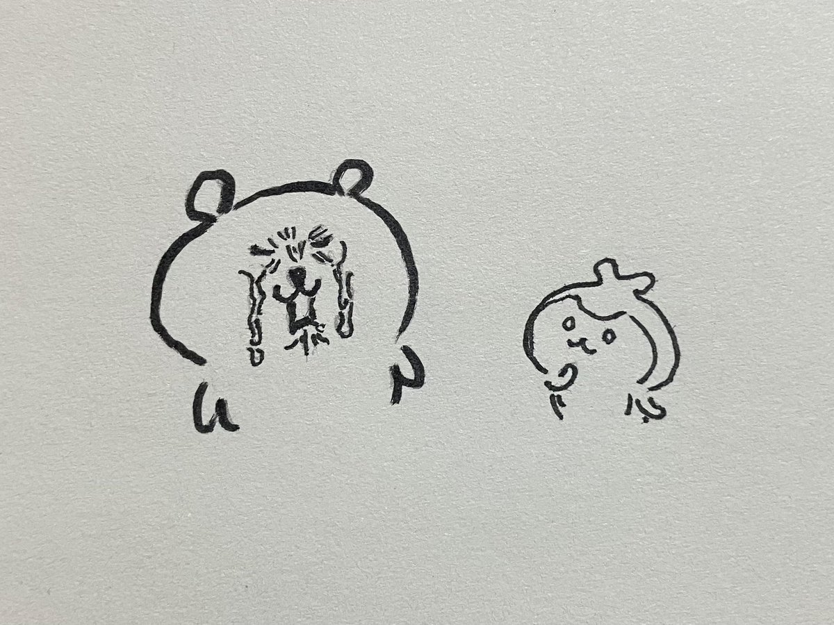 nyagittt's tweet photo. 🐻‍❄️🌼 https://t.co/SaK7KmTqQC