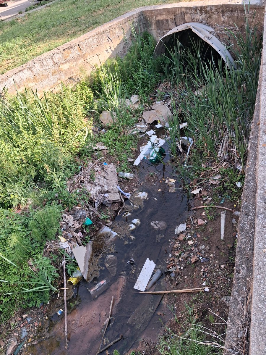 Brigada del Salabret tweet media