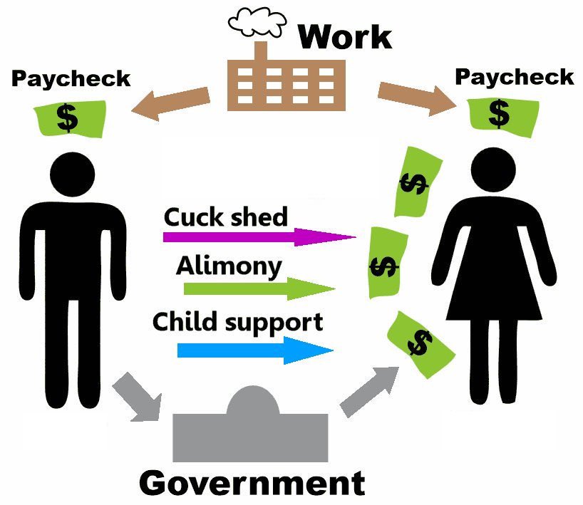 I_am_actualy_cat tweet media