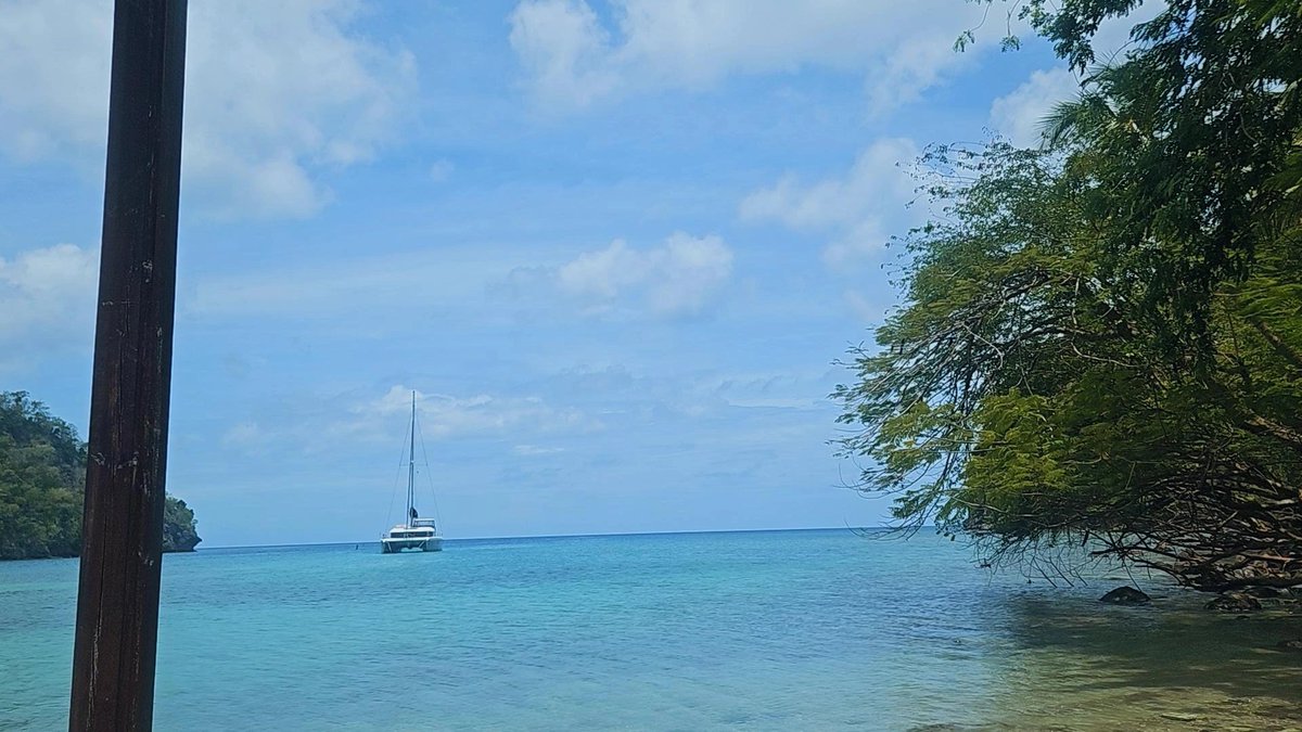 Questionkid ❓️ tweet media