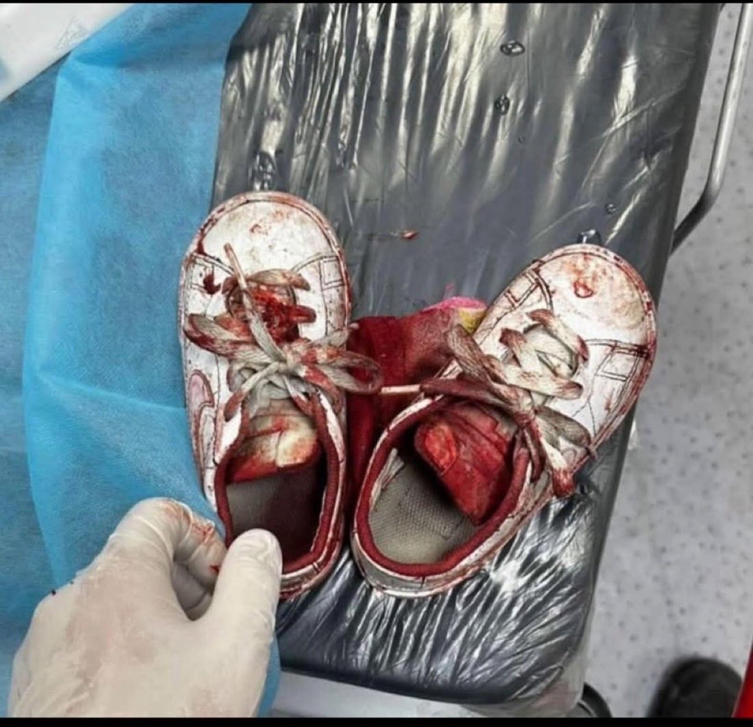 Les Spectateurs tweet media