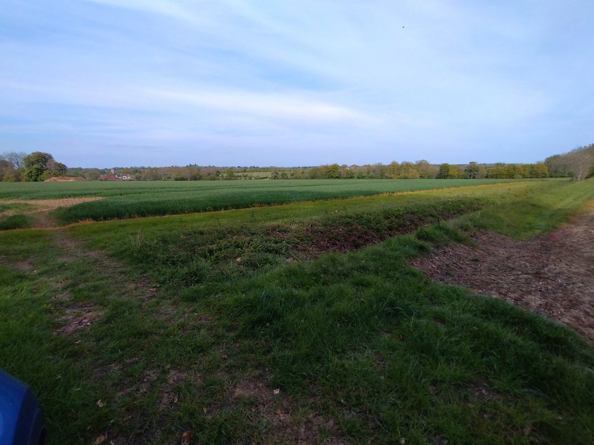 DrytonsOwn tweet picture