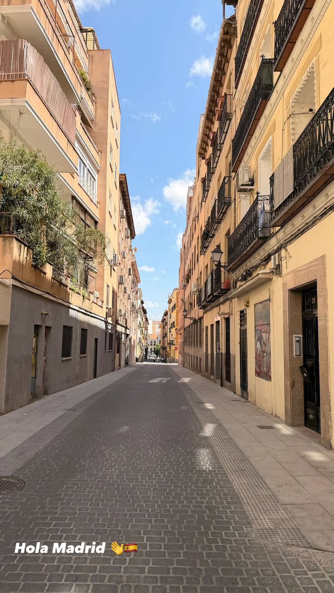 FerboUpdates💥 tweet media