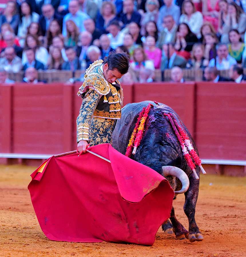 sevillataurina's tweet photo. 14ª FERIA de ABRIL/ La más amplia GALERÍA GRÁFICA del festejo  (https://t.co/3xNs1KWTvm) @sevillataurina @ManoloVieraN @isanchezmejias @UTAMAESTRANZA  @LancesMaestranz @JBAYORT @jmlaza @PTTJuanOrtega @TTUSevilla @CTSevilla24 @ctaurinopc @RicardoS2019 https://t.co/ws8ceLAaFg