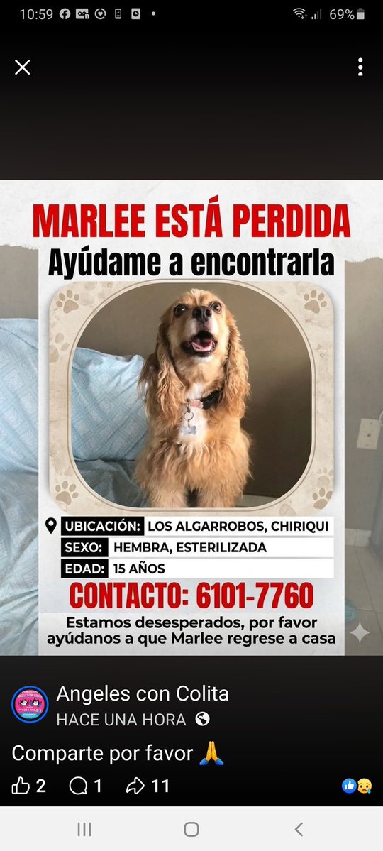 dayra icaza tweet media