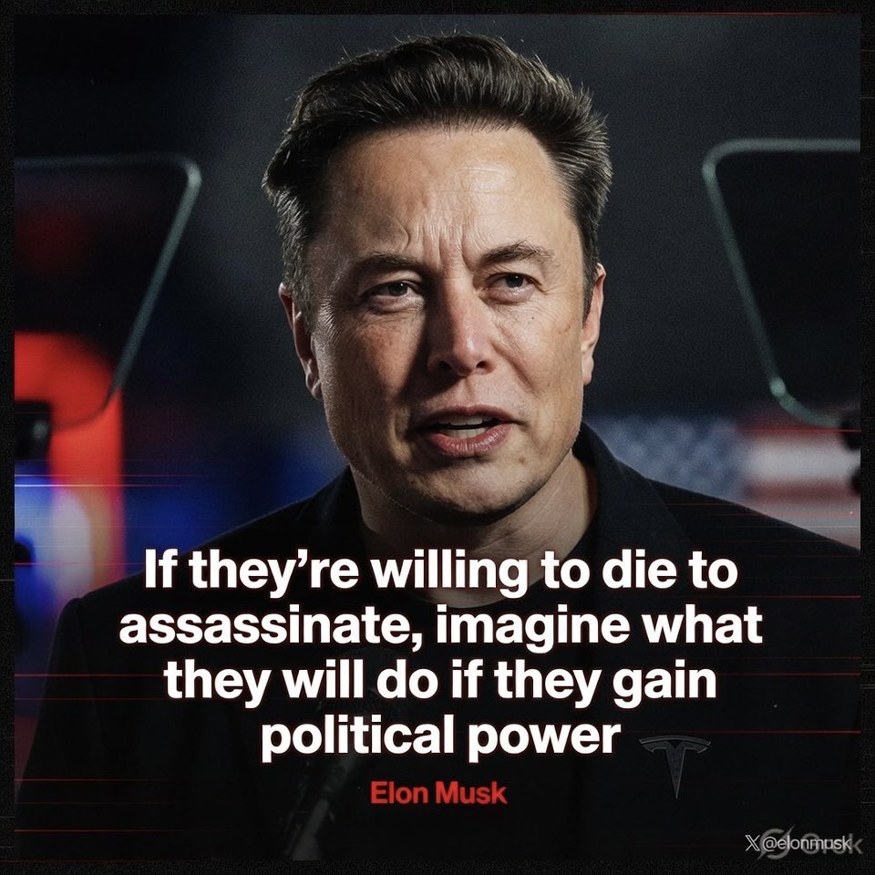 DogeDesigner tweet media