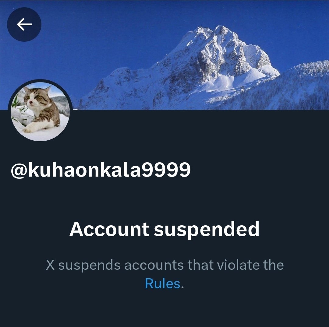 🇫🇮🐟 tweet media