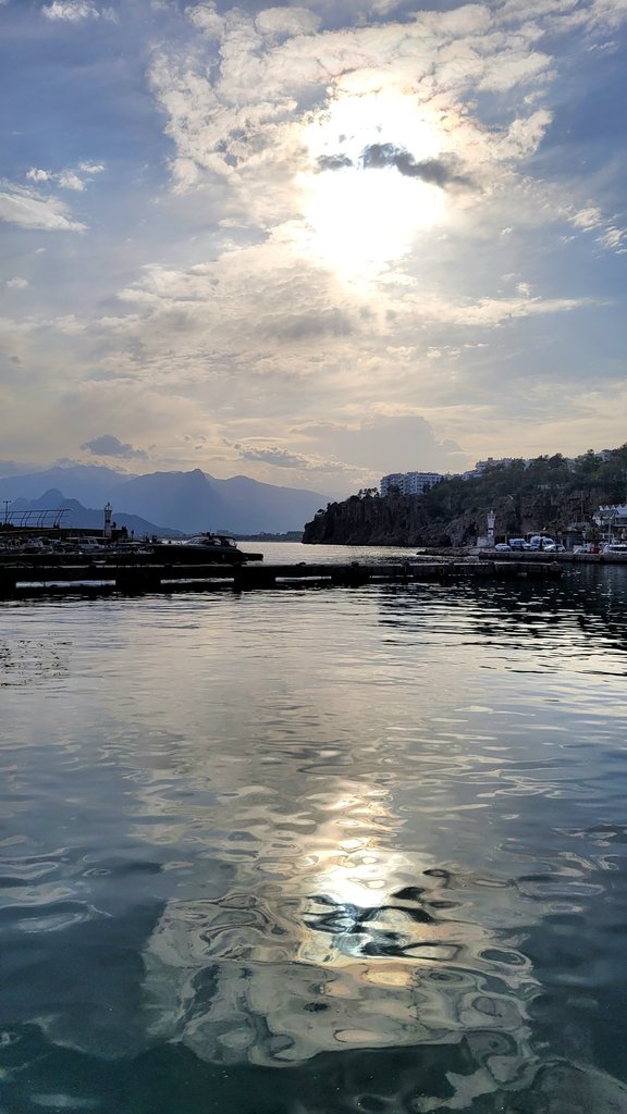 Ezgi Ses tweet media