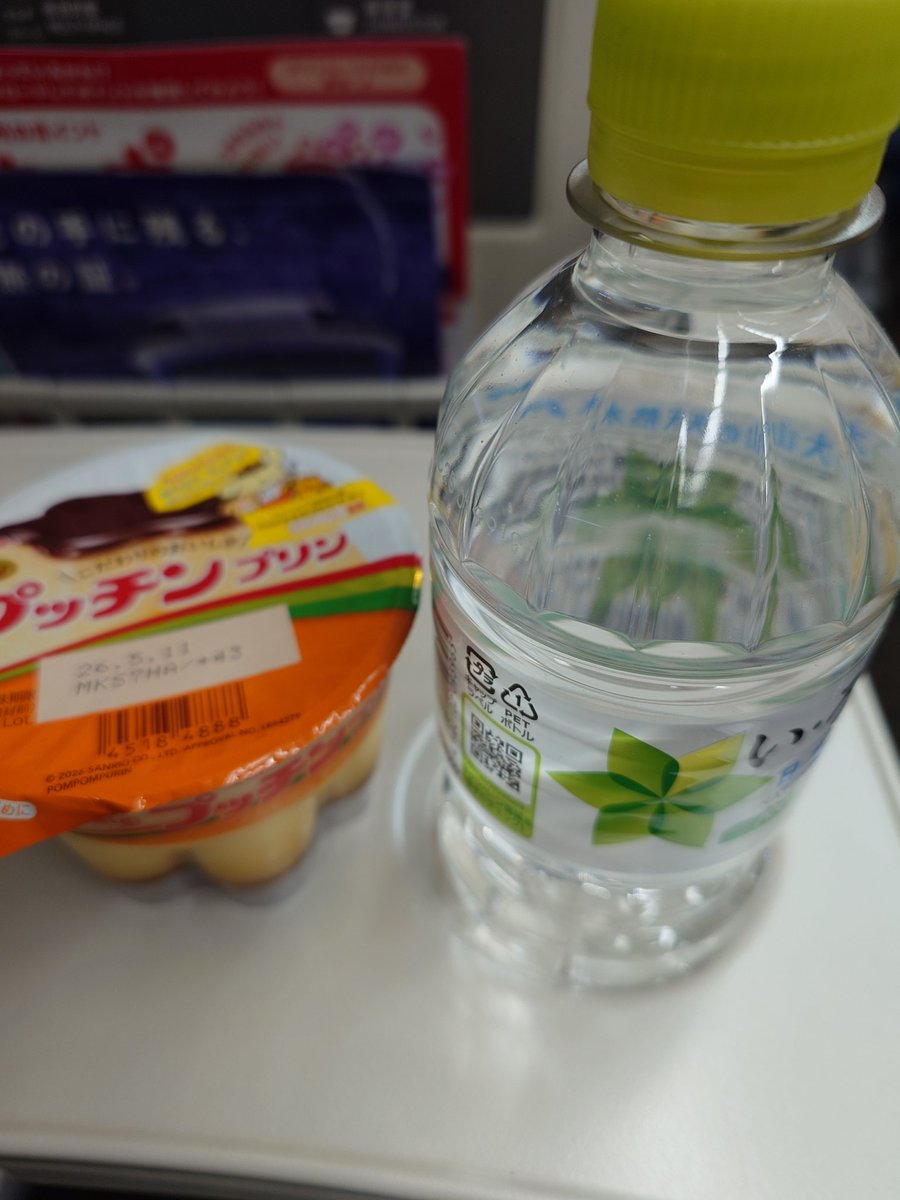 本日の1人打ち上げは酒無しで簡素に済ませる。