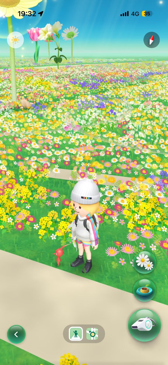 Lemon🍋 tweet media