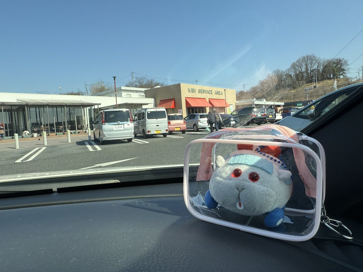ねこっしー tweet media