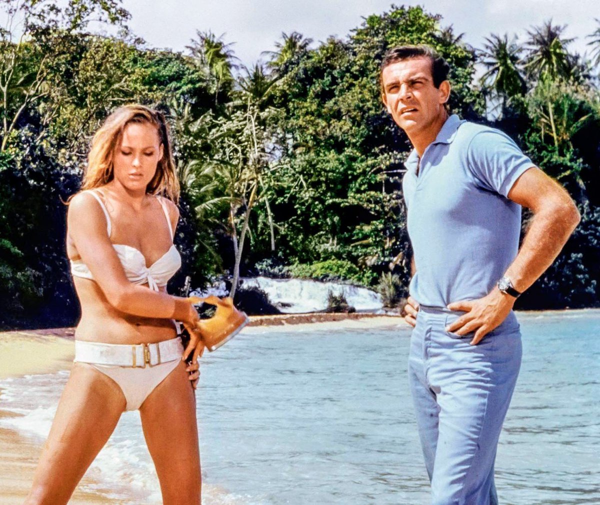 タイラー tweet media