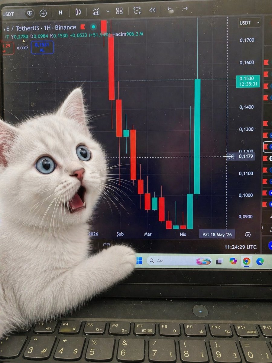 burcbtc's tweet image. Siz sıkılıp ve lanet olsun deyip sattığınız noktada başınıza bu gelse ne yapardınız
#Kripto #Altkoin