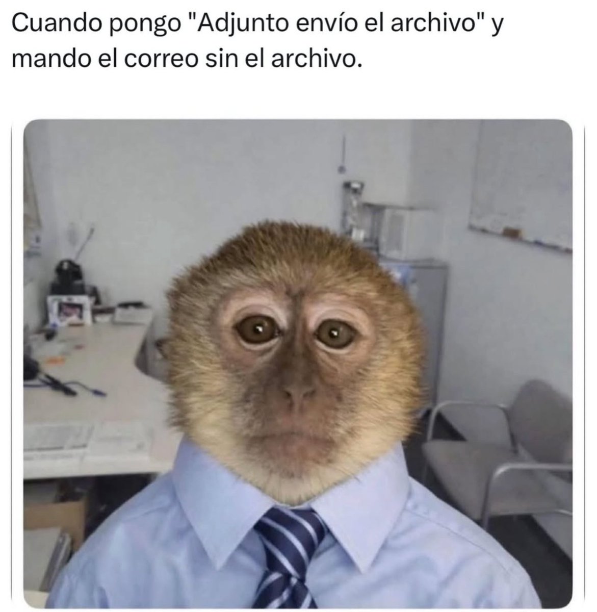 Carla tweet media