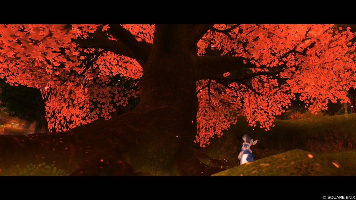 DQX_Meriko's tweet photo. https://t.co/Hu0QHzcBl8