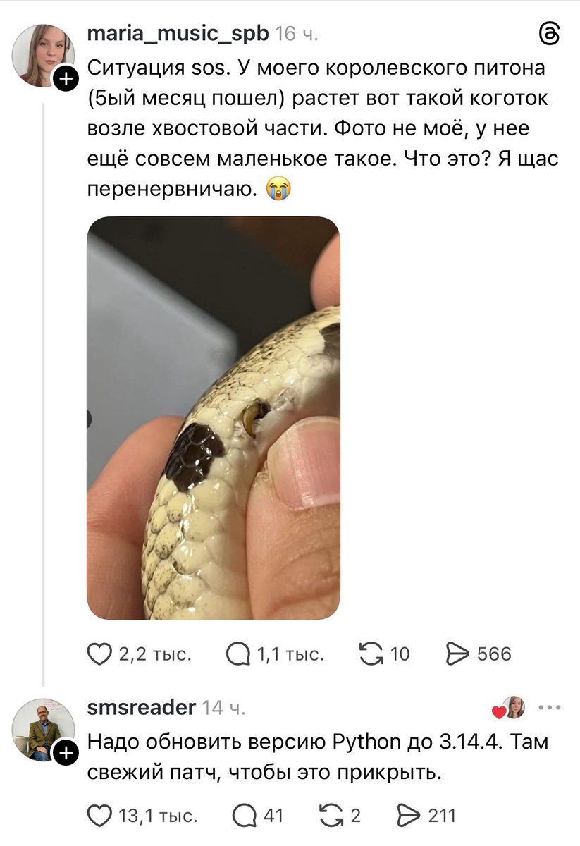 Лепра tweet media