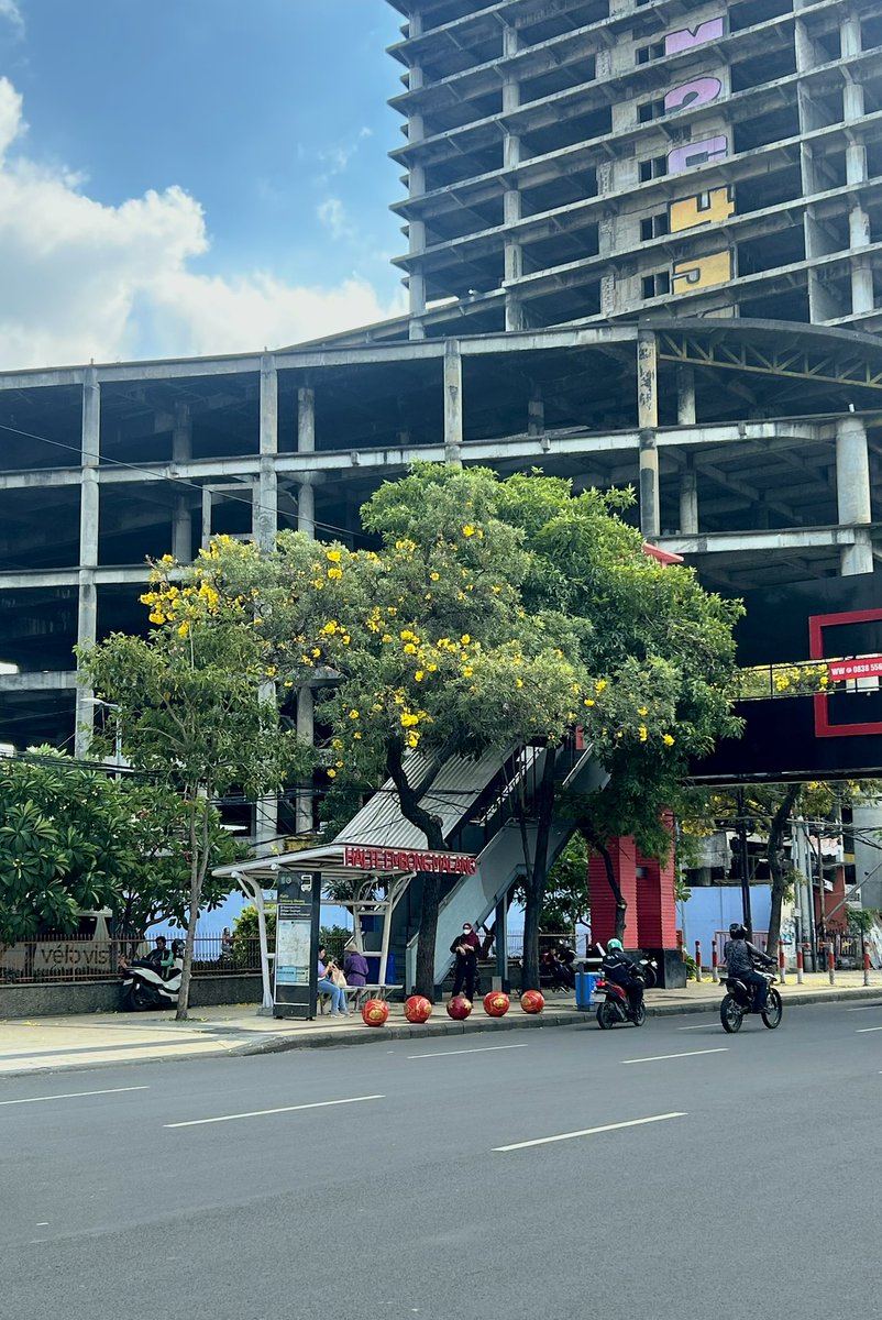 🐻🐻 tweet media