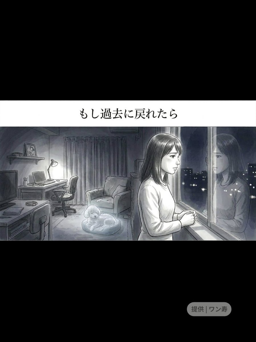 わんわん物語@ワン寿 tweet media