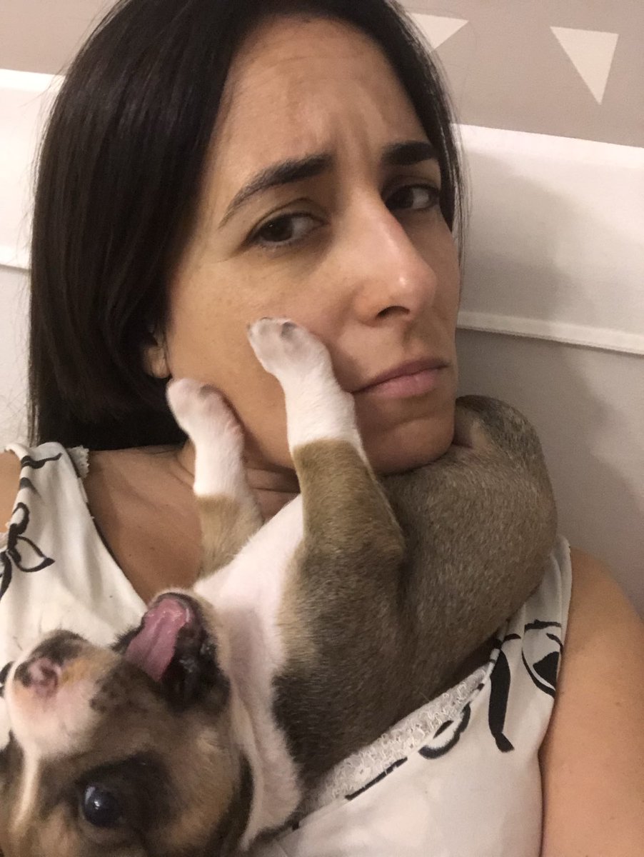 LaReinaDeLosHurones🇺🇦 tweet media