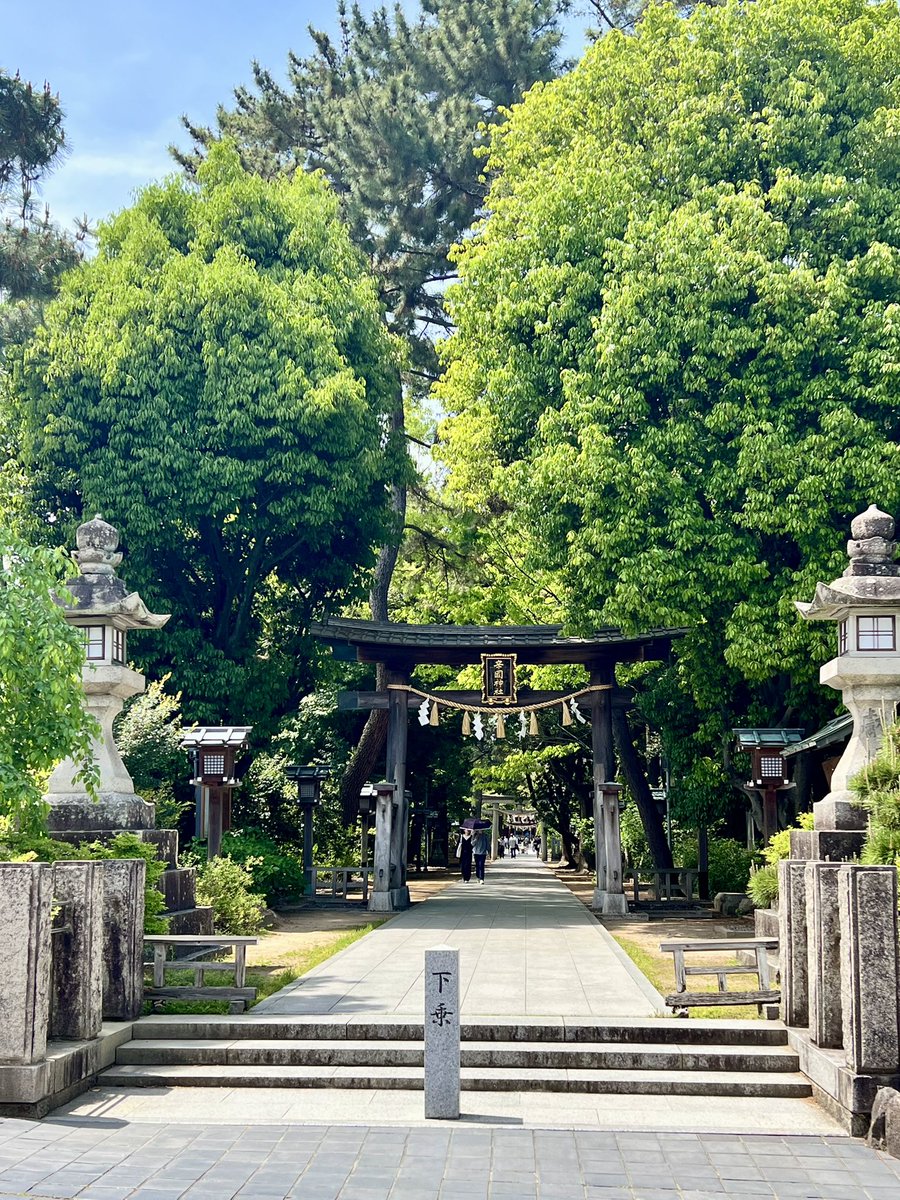 twincities2026's tweet photo. 辛國神社の新緑。Soaking in the vibrant new green at Karakuni Shrine. 🌿 #辛國神社 #新緑 #大阪 #JapanSpring https://t.co/csKLiizweH