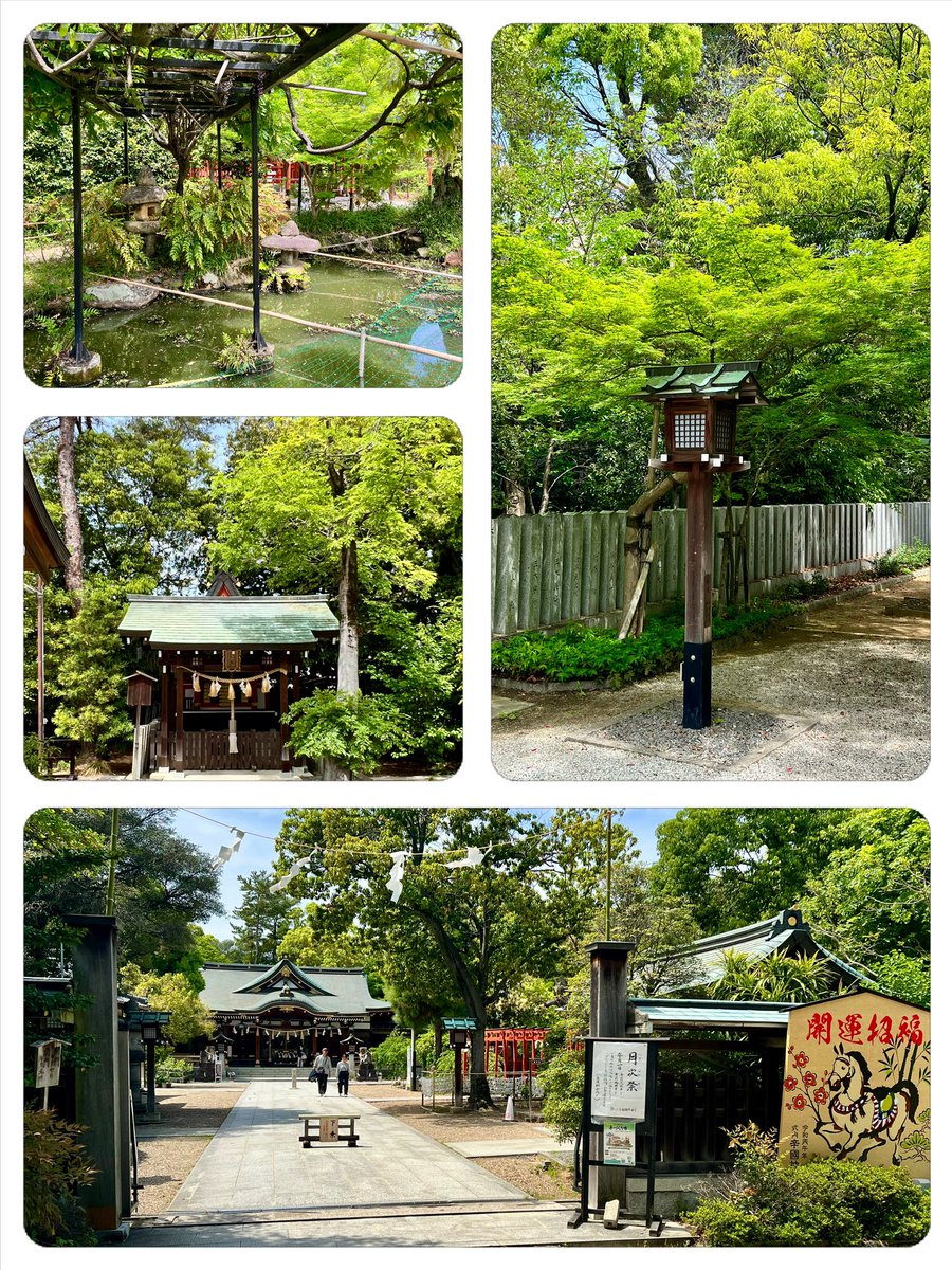twincities2026's tweet photo. 辛國神社の新緑。Soaking in the vibrant new green at Karakuni Shrine. 🌿 #辛國神社 #新緑 #大阪 #JapanSpring https://t.co/csKLiizweH