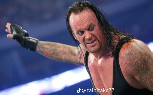 iconabia 🥷 tweet media