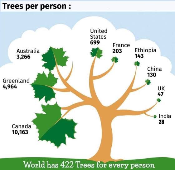 It's in the country where many plantation programs are run by govt, and #ipl do one tree for one dot ball